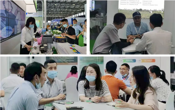 ppϷƽ̨ʲչڶʮũûѧƷֲչ